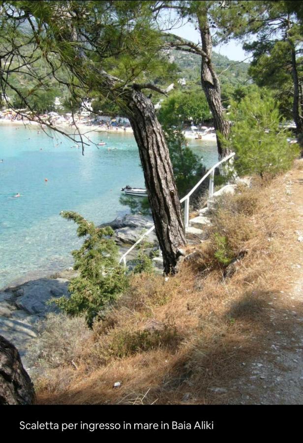 Aliki House Apartman Kültér fotó